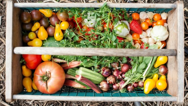 Panier de récolte : tomates, gombos, échalotes et herbes fraîches